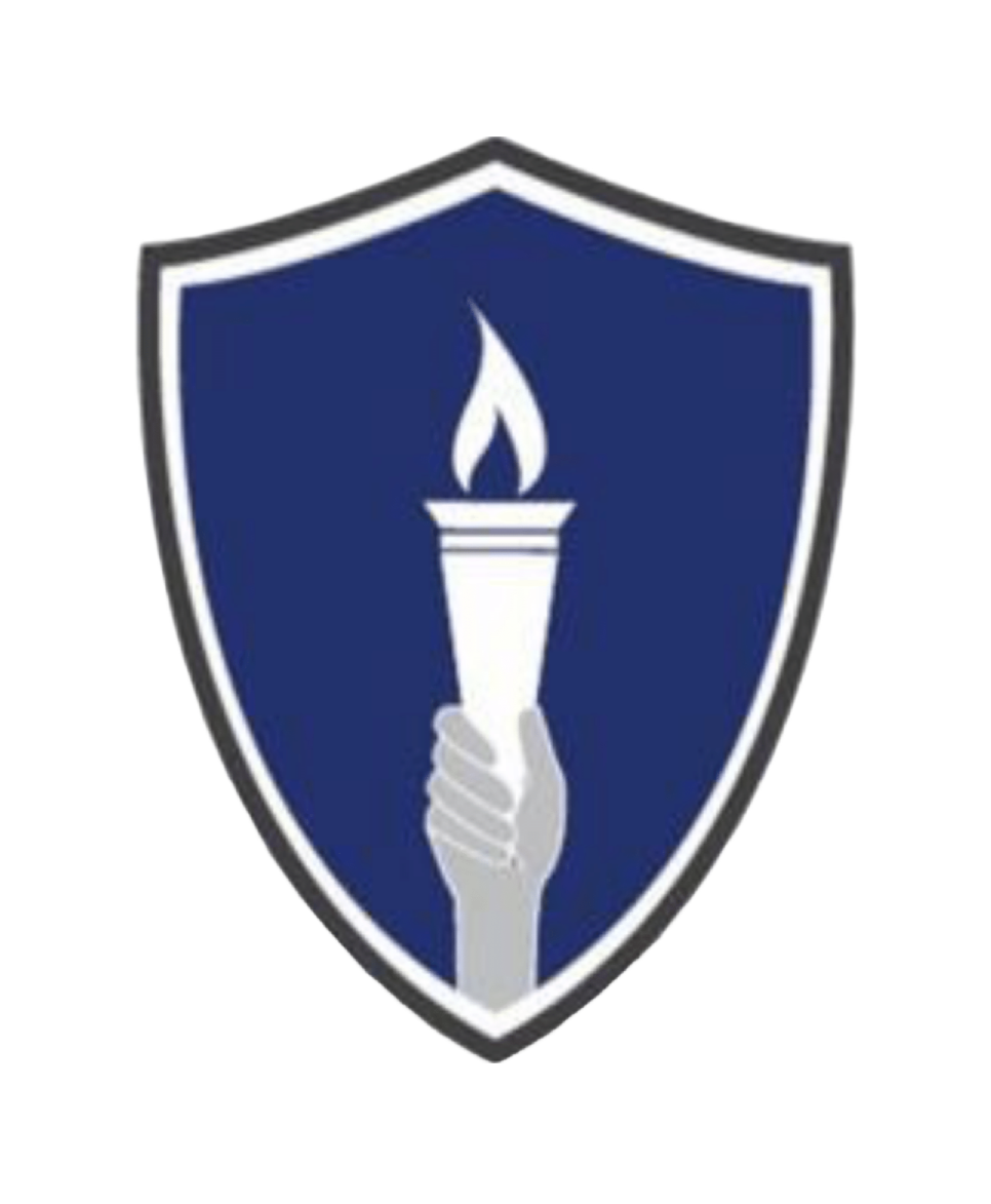 Palacios Law Firm Logo